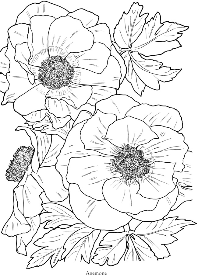 Download flowers | Free Coloring Pages