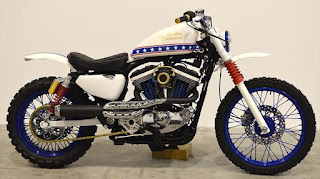 sportster 1200 scrambler evel knievel