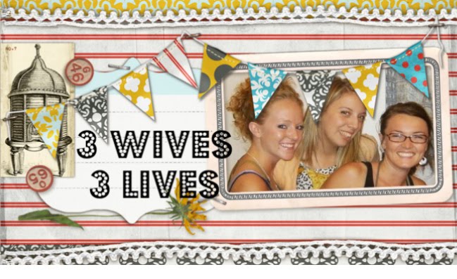 3 Wives 3 Lives