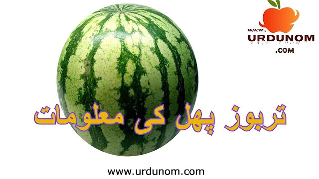 تربوز پھل کی معلومات | Watermelon fruit information in urdu