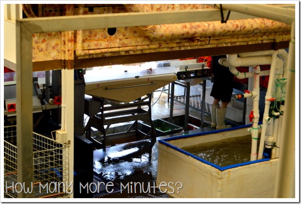 The Lobster Shack in Cervantes | How Many More Minutes?