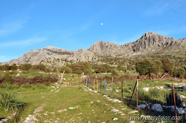 Calzada romana de Ubrique - Benaocaz - Villaluenga