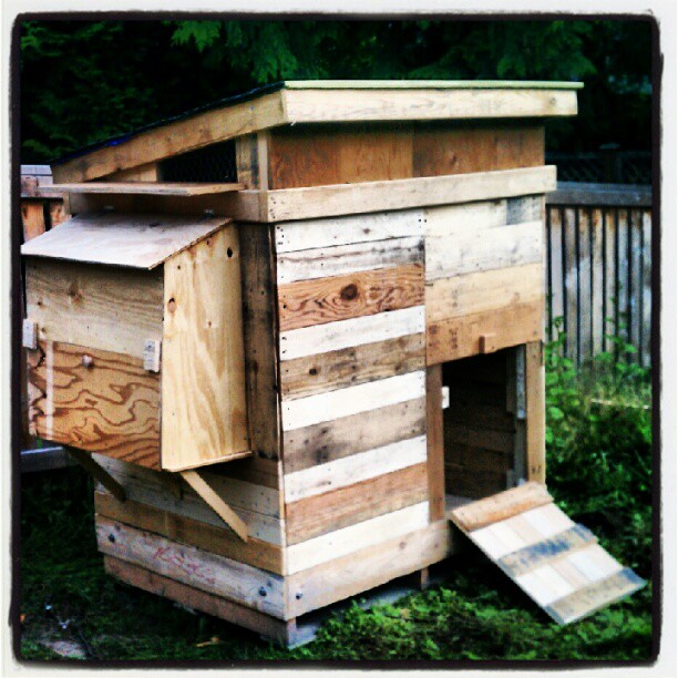 The Yellow House Project: Pallet Chicken Coop