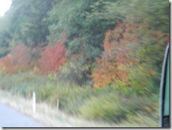 DSCN1078