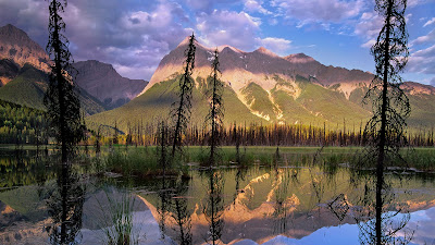 Los colores de nuestro planeta III (Paisajes Naturales)