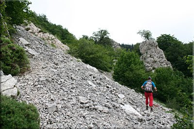 Incomoda pedrera en la ladera oeste de Albeiz