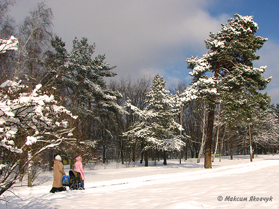 Фотограф Максим Яковчук: Зимовий парк «Кіото»