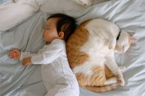 sleepy-baby-6