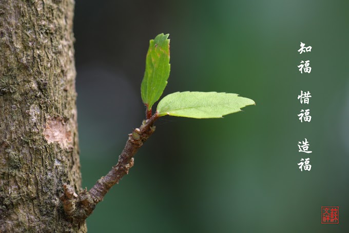 知福、惜福、造福