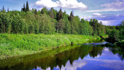 Paisajes Naturales Verdes Prados Natural Landscapes Photos