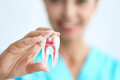 5 Things To Look For When Purchasing Dental Insurance