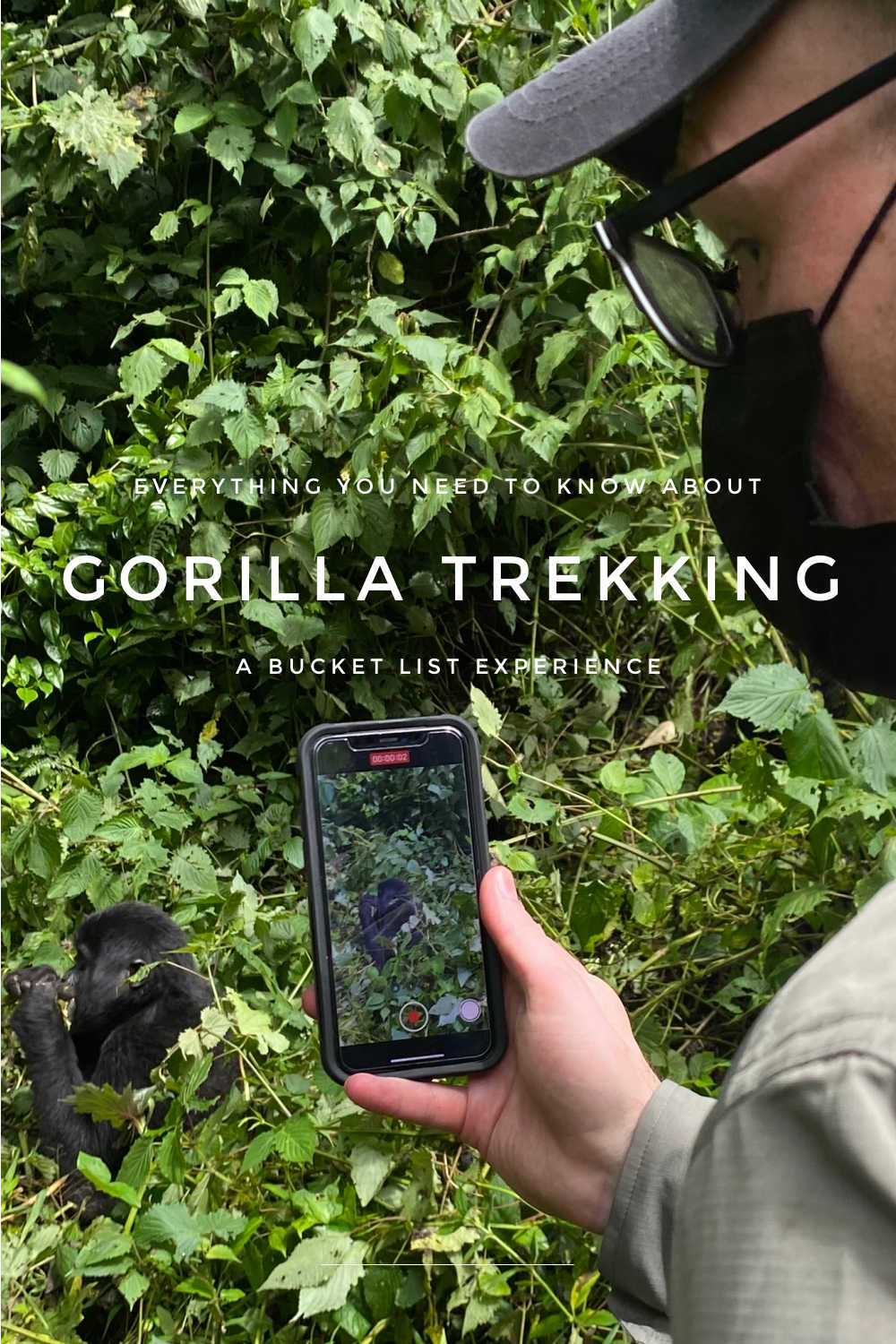 GORILLA TREKKING BUCKET LIST AFRICA TRIP