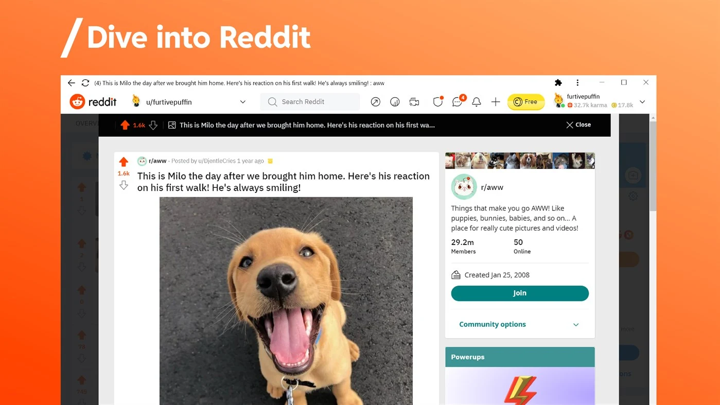 Download app Reddit per Windows 10 e Windows 11