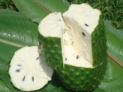 Soursop fruit has High Antioxidant Content