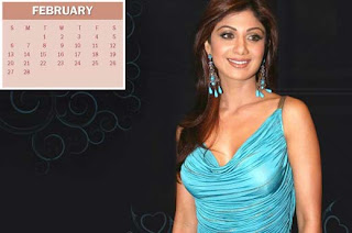 New Year Calendar 2011 - February