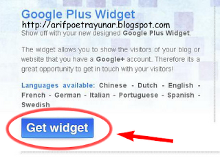 google plus widget