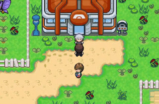 Pokemon Verde Musgo en Español para GBA Gimnasio Pokemon