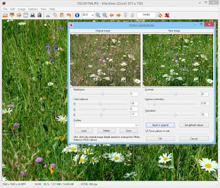 IrfanView  editor de fotografías  para Windows.