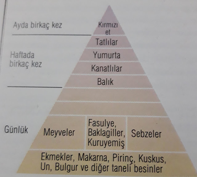 Akdeniz Beslenme Pramidi/Geleneksel Akdeniz Diyeti 