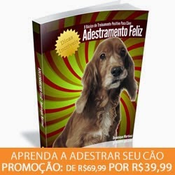 http://questoeseargumentos.blogspot.com.br/2014/10/adestramento-feliz-o-basico-do.html