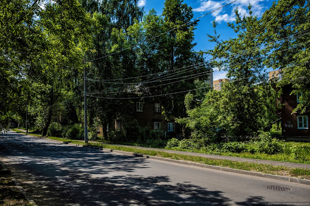 Деревянный дом в тени дерева у дороги