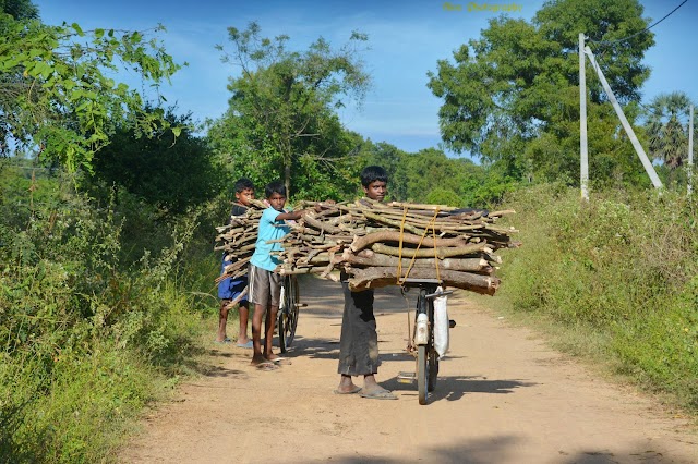 மொத்த உள்நாட்டு உற்பத்தியுடன் ஒப்பிடும் போது மிகக் குறைந்த வருமானத்தைக் கொண்ட நாடாக இலங்கை காணப்படுகிறது .