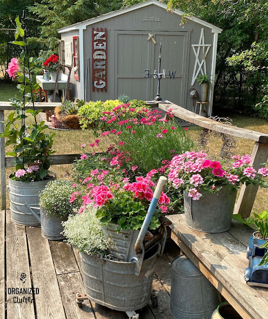 Photo of junk garden galvanized containers arranged and layered on the deck.