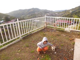 Cameron Highlands Pahang vs Kundasang Sabah 