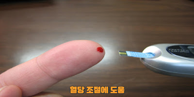 혈당 조절에 도움