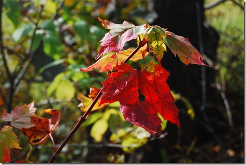 Vermont 072
