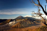 bromo