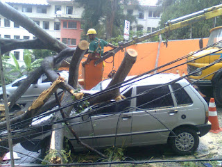 Remoção da árvore caída sobre veículo durante temporal em Belo Horizonte