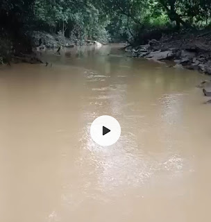 Sungai di Mentebah Tercemar Akibat Pembukaan Lahan Sawit, Warga Ancam Demo, PDAM Klaim Rugi