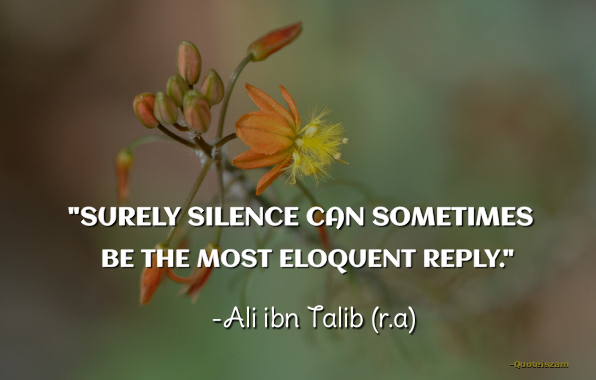 "Surely silence can sometimes be the most eloquent reply." -Ali Ibn Talib (R.A)