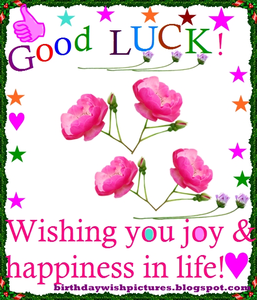 Good luck! Wishing you joy and happiness in life!