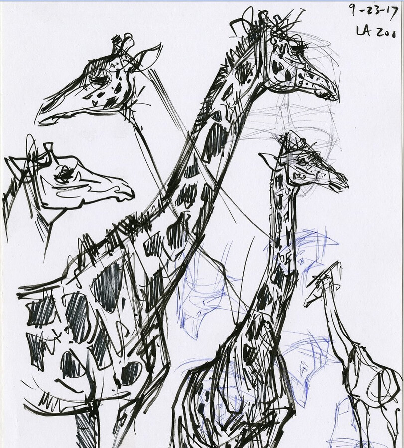 01-Giraffes-Drawing-Studies-Joe-Weatherly-www-designstack-co