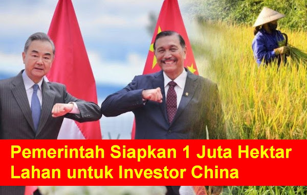 Menteri Koordinator Bidang Kemaritiman dan Investasi Luhut Binsar Pandjaitan mengungkapka Pemerintah Siapkan 1 Juta Hektar Lahan untuk Investor China, Ini Kata Pakar ITB