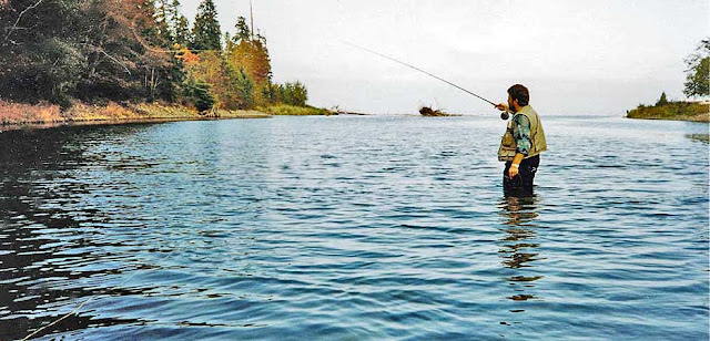 The Mouth of the Oyster River on Vancouver Island