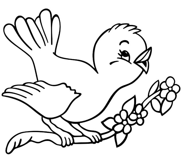 Top 12 Most Beautiful Bird Coloring Pages Free To Print Online