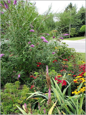 August 24, 2018 Enjoying the beauty of our late summer garden