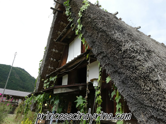 building with vines