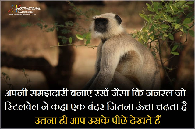 Monkey Quotes In Hindi || मंकी कोट्स हिंदी में