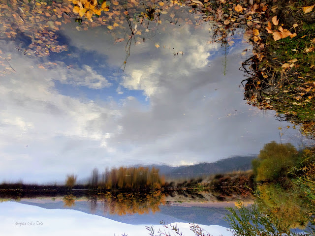 Foto al revés, reflejos, otoño, balsa Cogollos