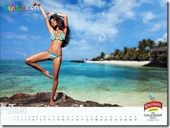 Kingfisher Calendar 2011_2