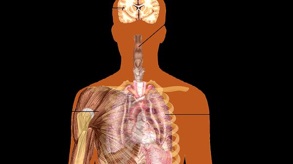 Body Aches From Flu