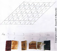 schematic diagram for Lone Star point