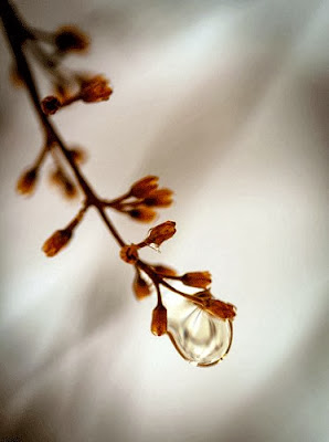 https://www.etsy.com/listing/125932693/art-photograph-landscape-water-drop-on?ref=favs_view_2