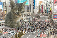 Este artista convierte gatos en gigantes con Photoshop y el resultado es genial