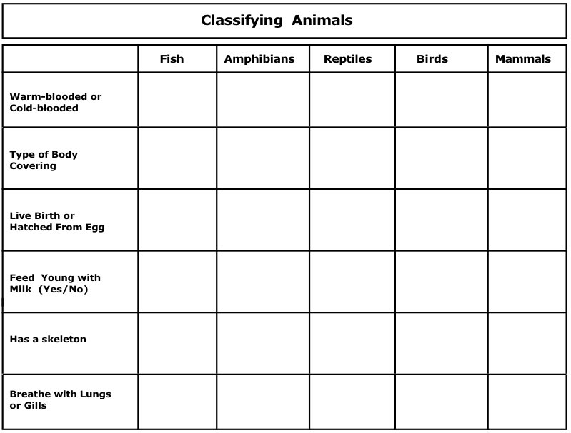 animal. and worksheets grade new to SWITCHEROO reproduction  for 5 a ZOO animal create Got