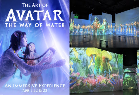 Avatar The Way of Water Immersive Art Exhibit in Los Angeles